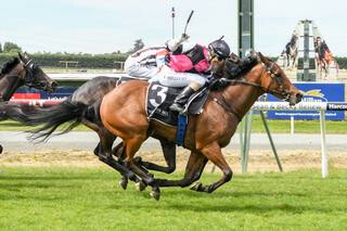 Lightning Jack (NZ) claims the $70,000 Listed Ascot Park Hotel Southland Guineas (1600m). 
